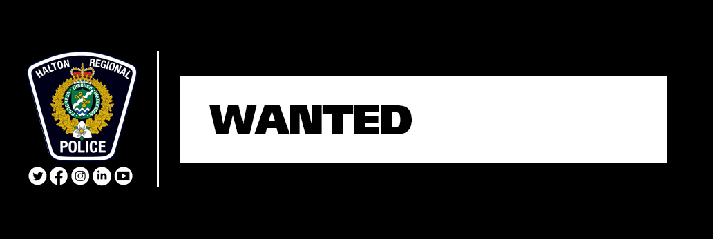 wanted 